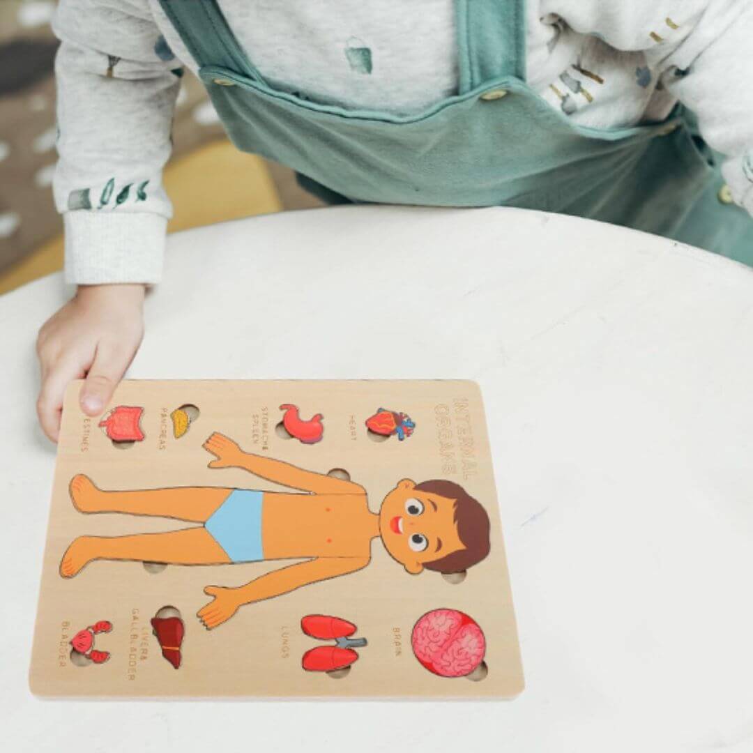 BodyWise™ – Educatieve Houten Anatomie Puzzel – Ontdek het Menselijk Lichaam