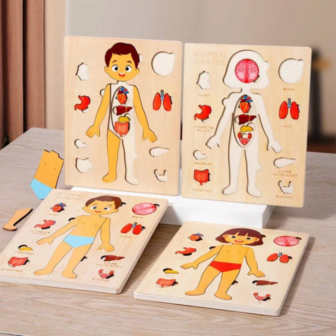 BodyWise™ – Educatieve Houten Anatomie Puzzel – Ontdek het Menselijk Lichaam