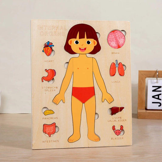 BodyWise™ – Educatieve Houten Anatomie Puzzel – Ontdek het Menselijk Lichaam