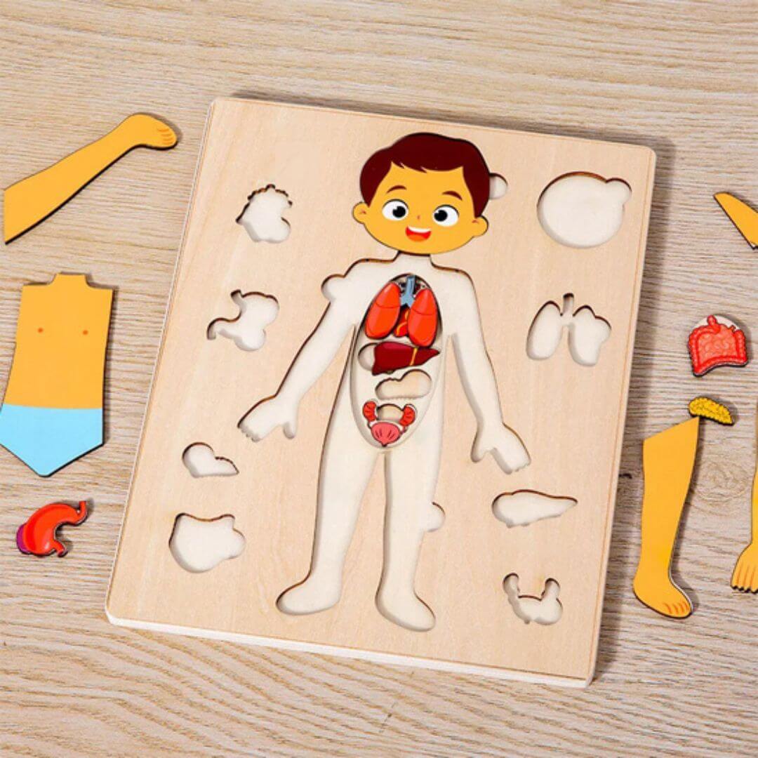 BodyWise™ – Educatieve Houten Anatomie Puzzel – Ontdek het Menselijk Lichaam
