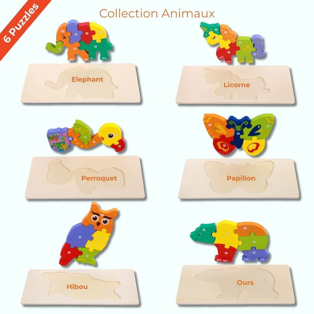 KleurenKracht™ – Houten Educatieve Puzzel – Spelenderwijs Leren en Groeien
