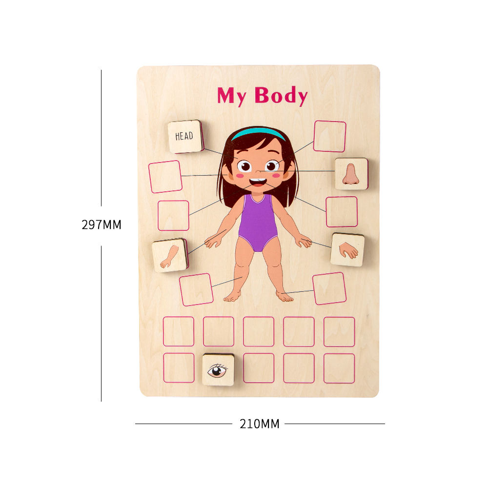 BodyLearn™ – Montessori Houten Lichaamspuzzel – Educatief Lichaamsdelen Spel