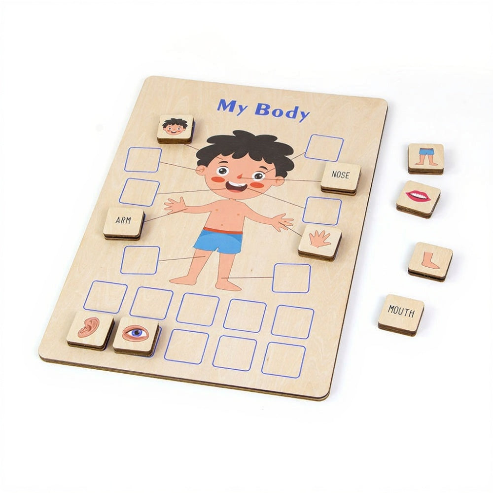 BodyLearn™ – Montessori Houten Lichaamspuzzel – Educatief Lichaamsdelen Spel
