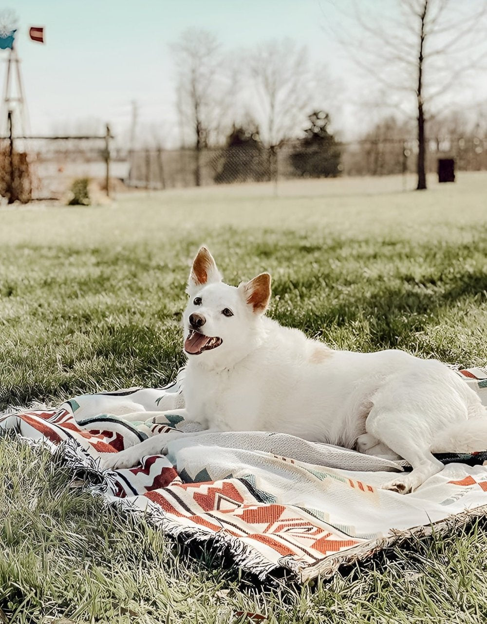 BohoWeave™ – Bohemian Picknickkleed – Omkeerbare Outdoor Deken