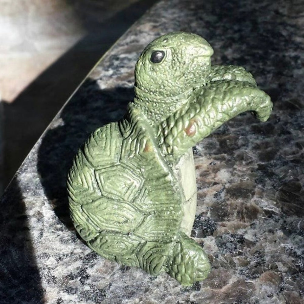 Arden Tuinornament - Hars, Speels Schildpadontwerp 4