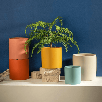TerraNest™ – Tijdloze Keramische Bloempot met Schotel – Elegante Plantenpot Voor Binnen