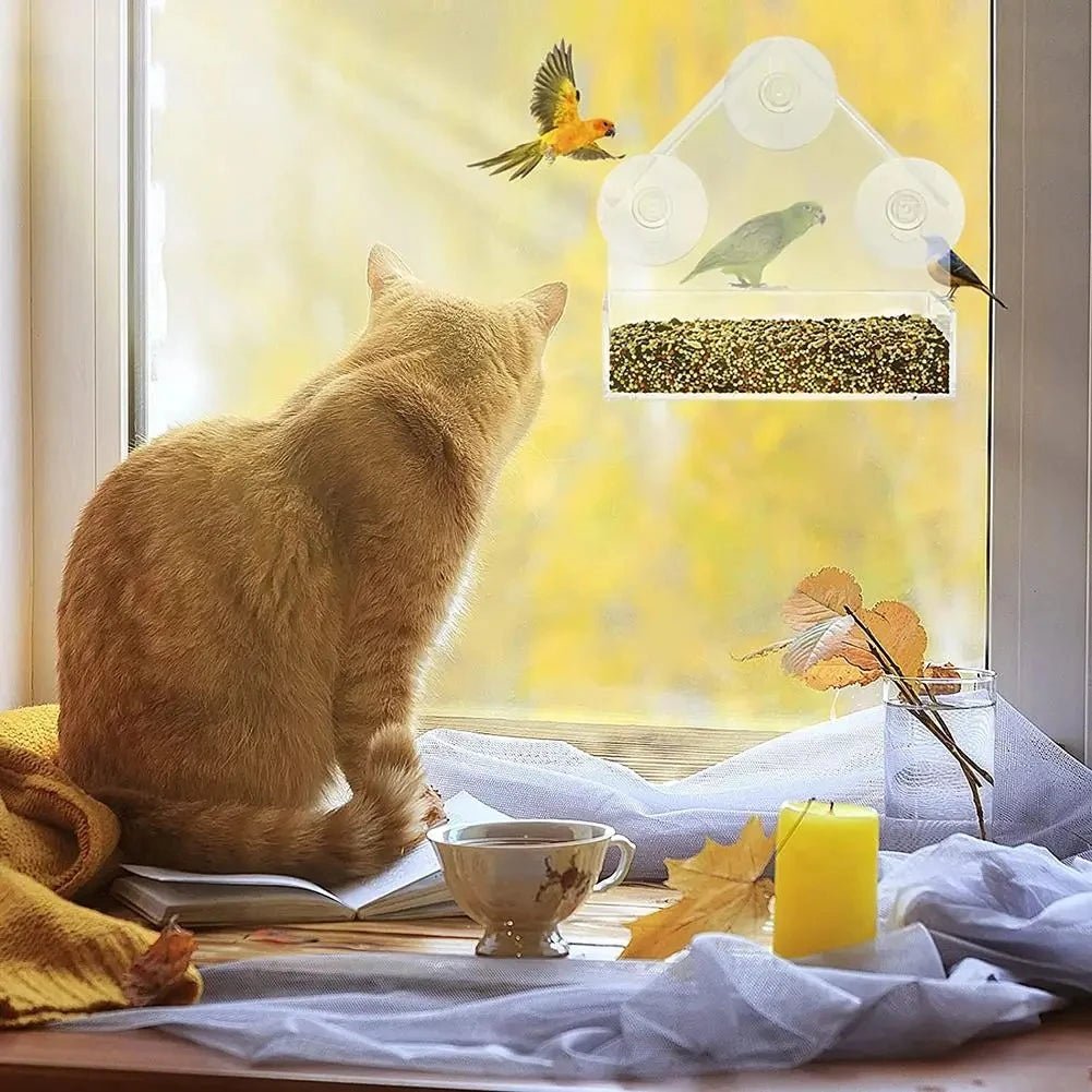WindowBirdView™ – Transparante Raam Vogelvoederbak – 360° Vogel Observatie