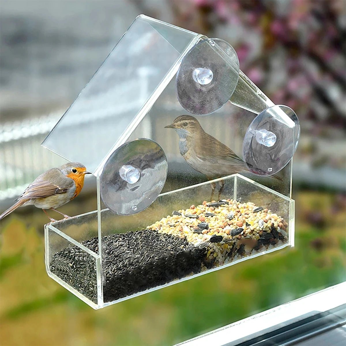 WindowBirdView™ – Transparante Raam Vogelvoederbak – 360° Vogel Observatie