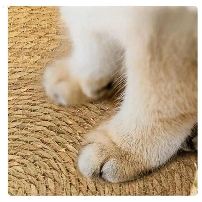 CloudNest Kattenmand - Superzacht Pluche, Verhoogde Randen voor Extra Comfort 7