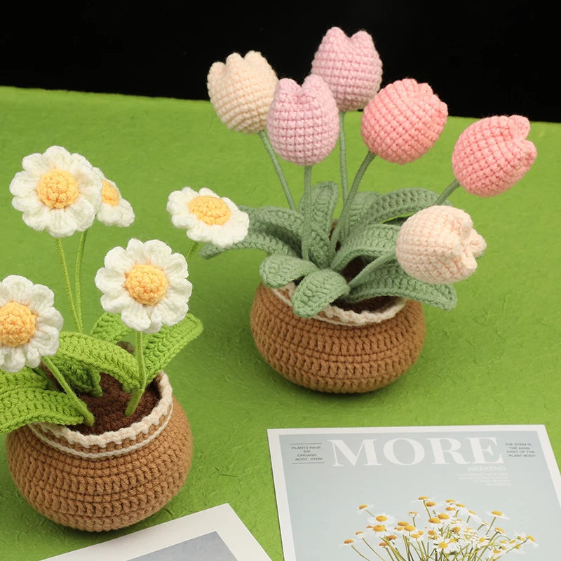 Giselle Haakset - Complete DIY Bloemenset voor Beginners, Inclusief Garen en Haaknaalden 4