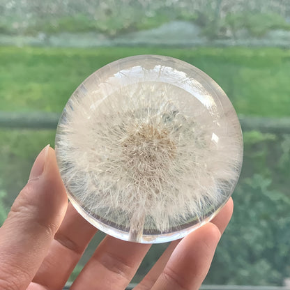 Kora Art Deco Kristallen Bol - Glas met Paardenbloemdecor, Onderhoudsvrij 4