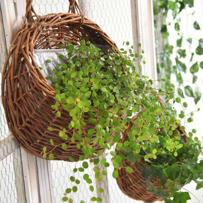 WickerNest™ – Handgeweven Hangmand – Natuurlijke Opbergmand