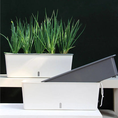 MoistureMate™ – Zelfbewaterende Plantenbak met Reservoir – Continue Vocht Controle
