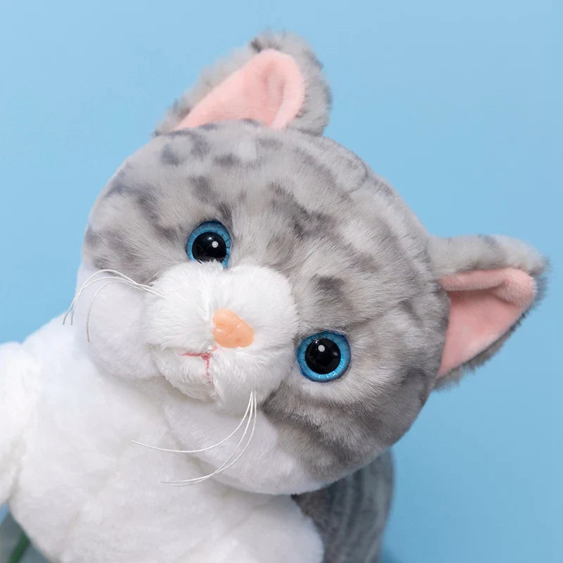 PoesPlof™ – Verzwaard Kattenkussen met Lange Armen – Zachte Knuffel &amp; Huisdecoratie