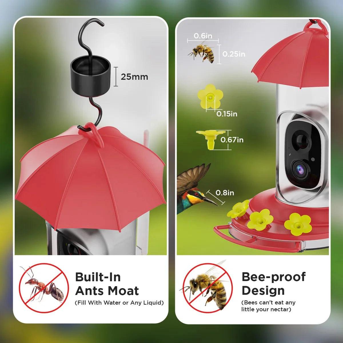FeatherViewHD™ – Slim Vogelvoederhuis met 1080P Camera – Breedhoek Vogel Observatie