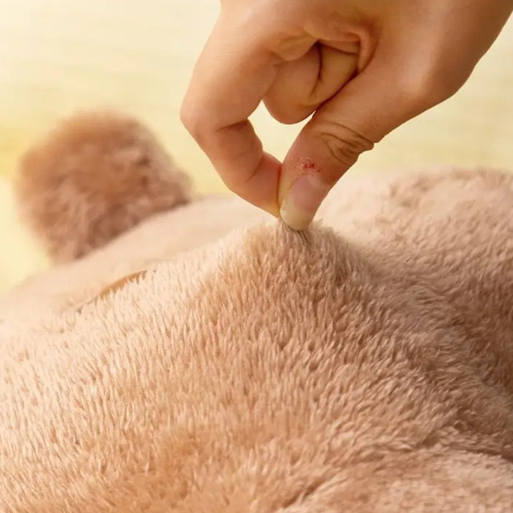 Teddytaill Kussen - Microvezel, Comfortabele Rugsteun 2