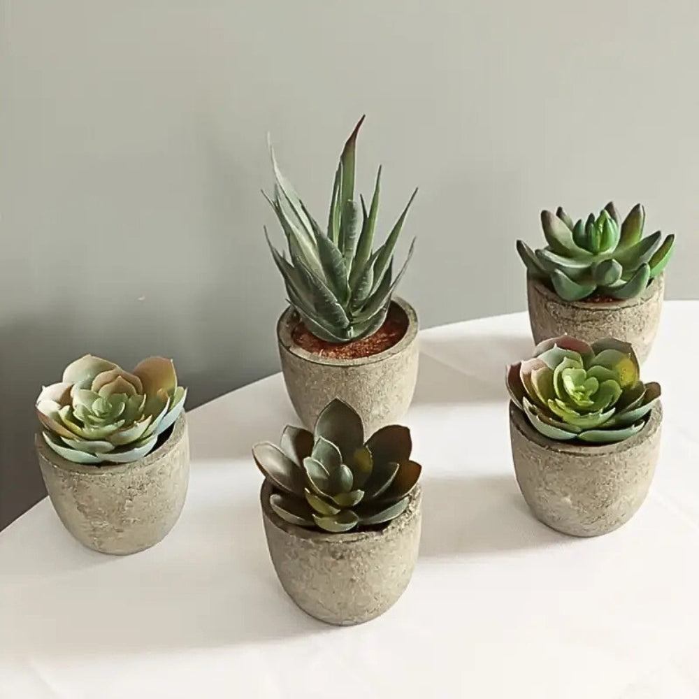 Verdea Kunstplant - Realistisch PVC, Bonsai-Stijl 1