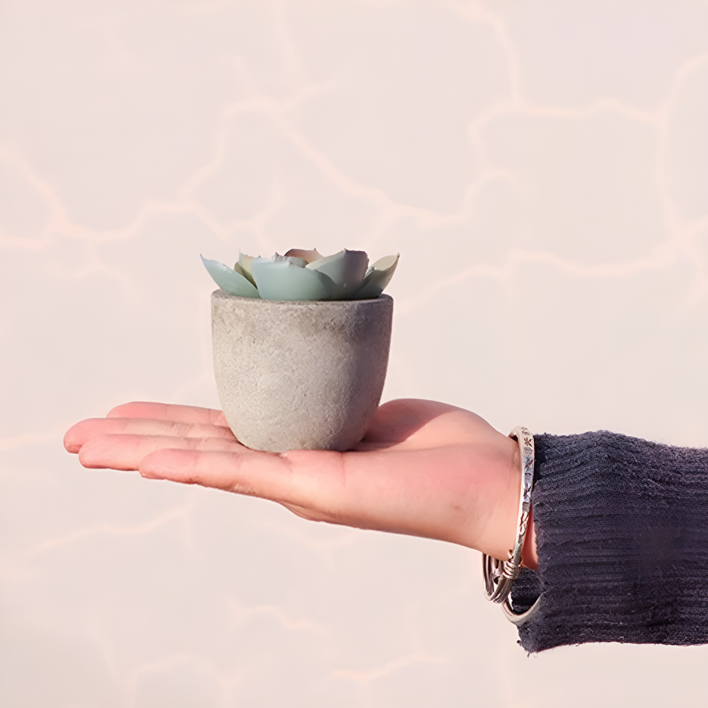 Verdea Kunstplant - Realistisch PVC, Bonsai-Stijl 6