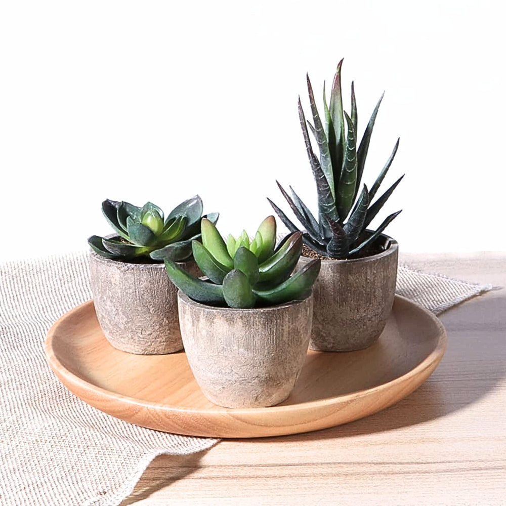 Verdea Kunstplant - Realistisch PVC, Bonsai-Stijl 7