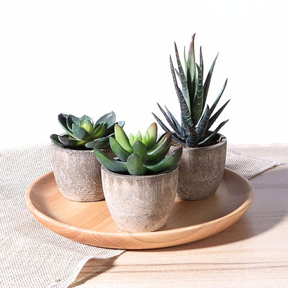 Verdea Kunstplant - Realistisch PVC, Bonsai-Stijl 7