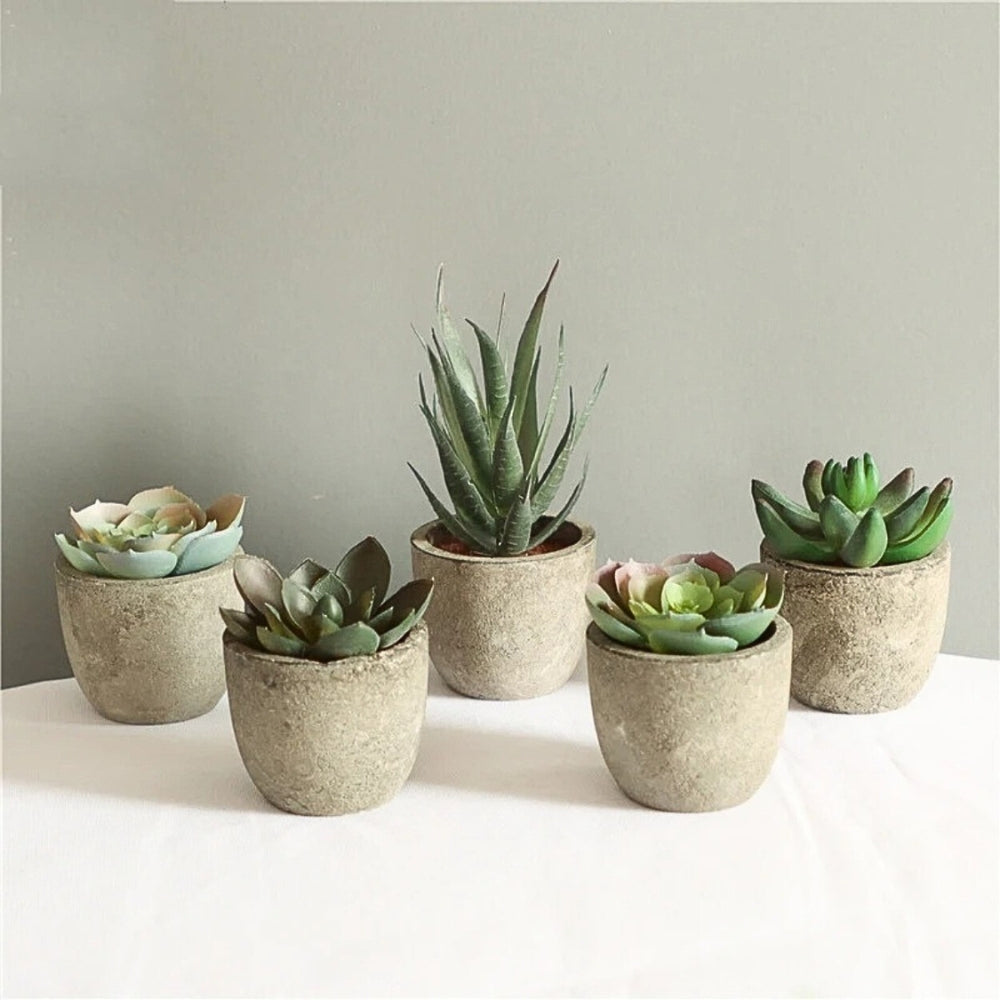 Verdea Kunstplant - Realistisch PVC, Bonsai-Stijl 8