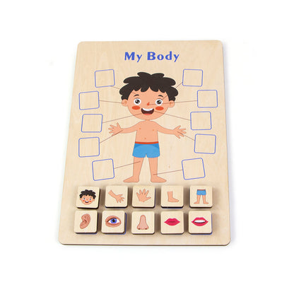 BodyLearn™ – Montessori Houten Lichaamspuzzel – Educatief Lichaamsdelen Spel