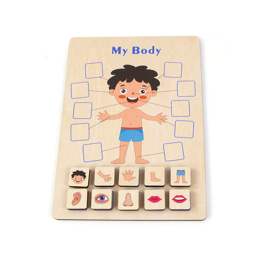 BodyLearn™ – Montessori Houten Lichaamspuzzel – Educatief Lichaamsdelen Spel