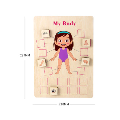 BodyLearn™ – Montessori Houten Lichaamspuzzel – Educatief Lichaamsdelen Spel
